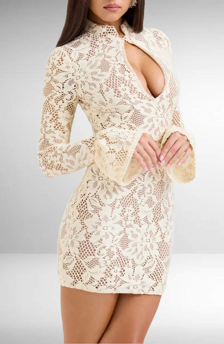 Bellanotte Mini Dress